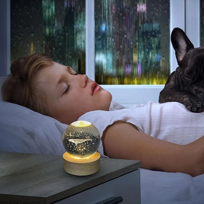 Fish 3D Crystal Ball Lamp with Wooden Base